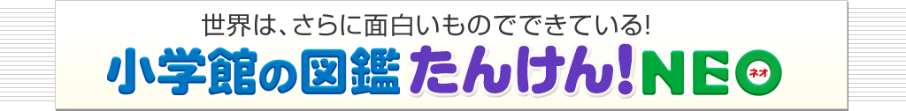 デジタルブックと連動して、新しい発見がいっぱい！ 小学館の図鑑 たんけん！NEO