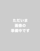ただいま画像の準備中です