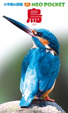 小学館の図鑑NEO　ネオぽけっと　はっけんずかん　その他計22冊セット 小学館の図鑑 NEO POCKET -ネオぽけっと-鳥 | 書籍 | 小学館
