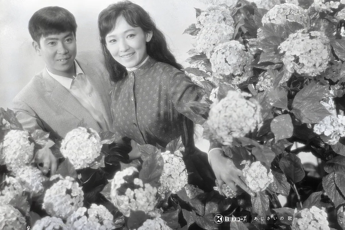 11.『あじさいの歌』 場面写真