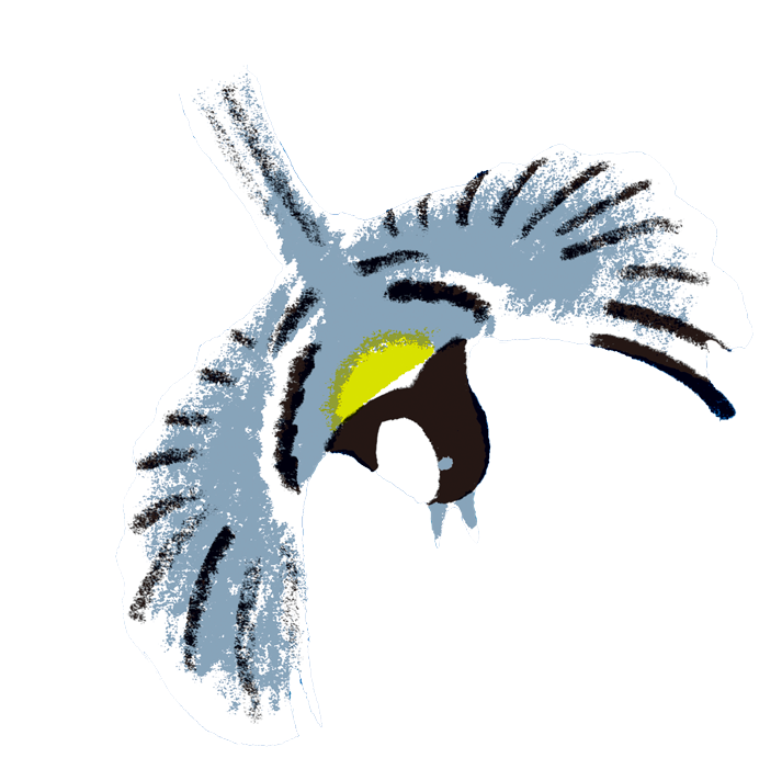 シジュウカラ