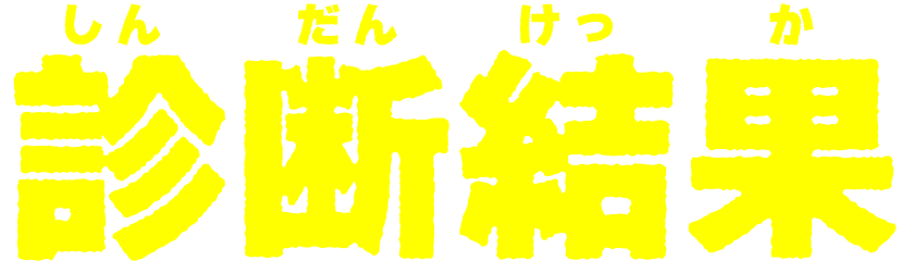 診断結果