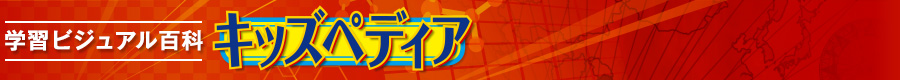 キッズペディア