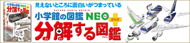 分解する図鑑