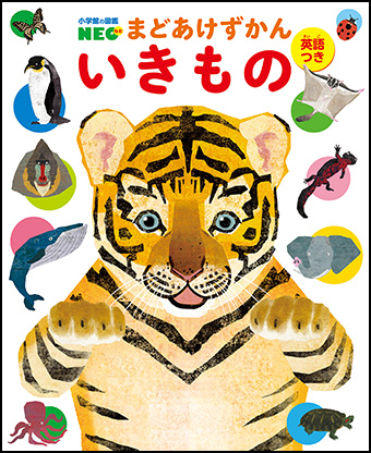 小学館の図鑑NEO まどあけずかん | 小学館