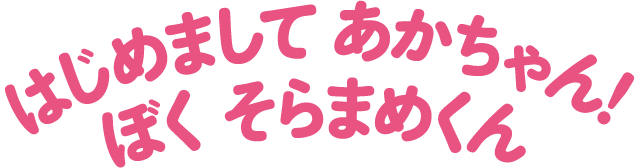 はじめましてあかちゃん！　ぼく そらまめくん