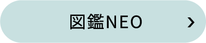 図鑑NEO