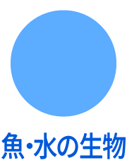 魚・水の生物
