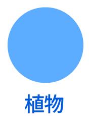 植物