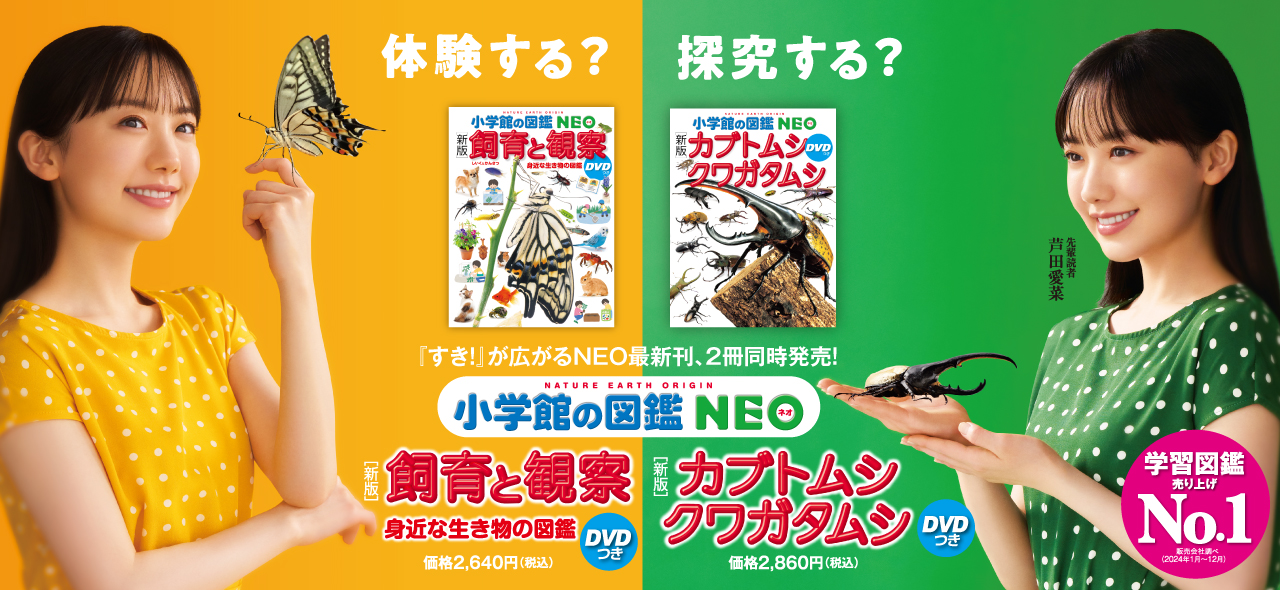 最新刊「［新版］飼育と観察」「［新版］カブトムシ・クワガタムシ」発売
