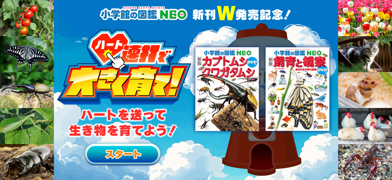 小学館の図鑑NEO 新刊W発売記念！「ハート連打で大きく育て！」