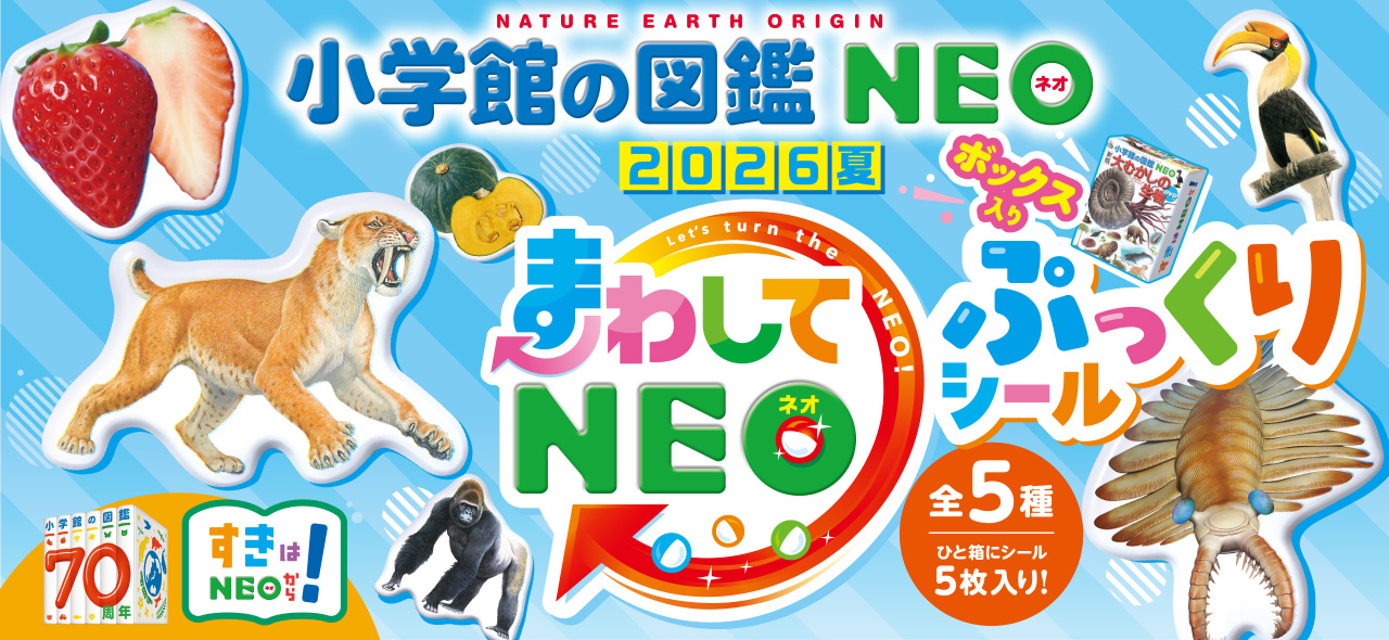 「まわしてNEO 2026夏」開催