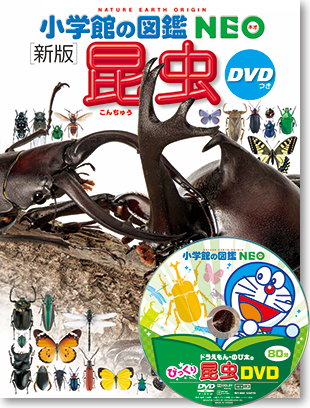 新版］昆虫 DVDつき | 小学館の図鑑NEOシリーズ | 小学館