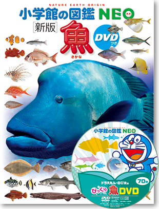 新版］魚 DVDつき | 小学館の図鑑NEOシリーズ | 小学館