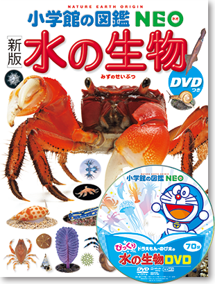 小学館の図鑑　ネオ　NEO図鑑　図鑑のみ　びっくりドラえもん