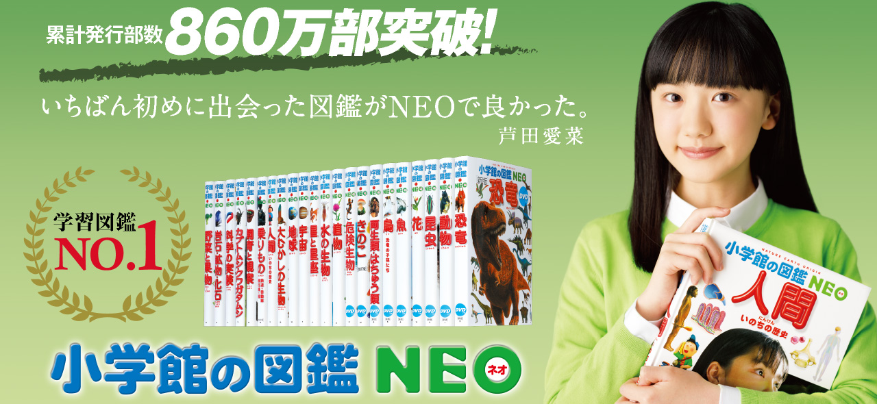 小学館の図鑑NEOシリーズ 小学館