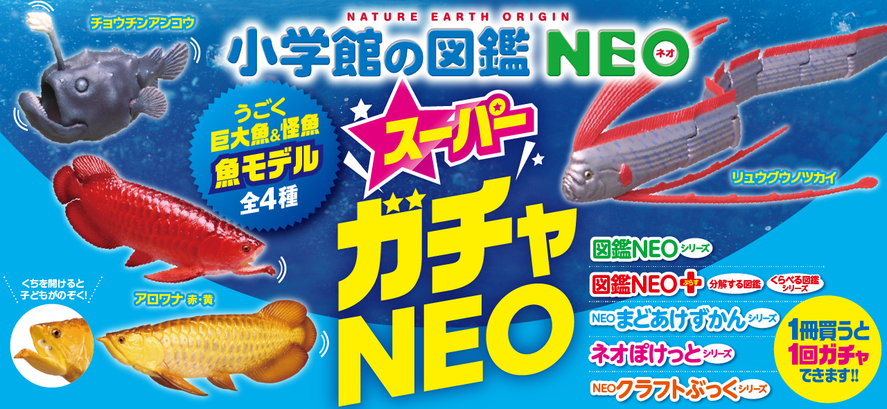 小学館の図鑑neoシリーズ 小学館 小学館の図鑑neoシリーズ 小学館