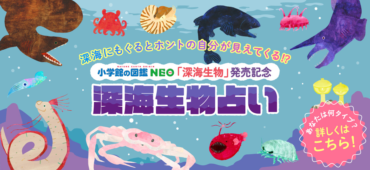 小学館の図鑑neoシリーズ 小学館 小学館の図鑑neoシリーズ 小学館