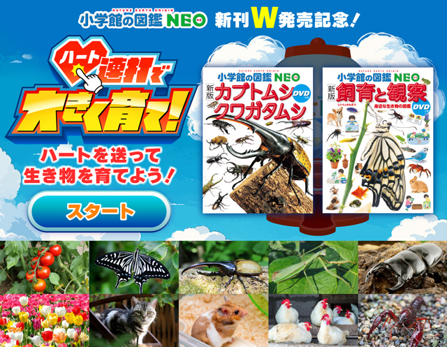 小学館の図鑑NEO 新刊W発売記念！「ハート連打で大きく育て！」	