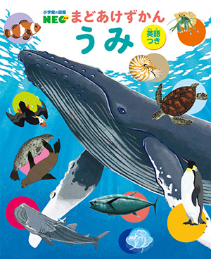 まどあけずかん うみ