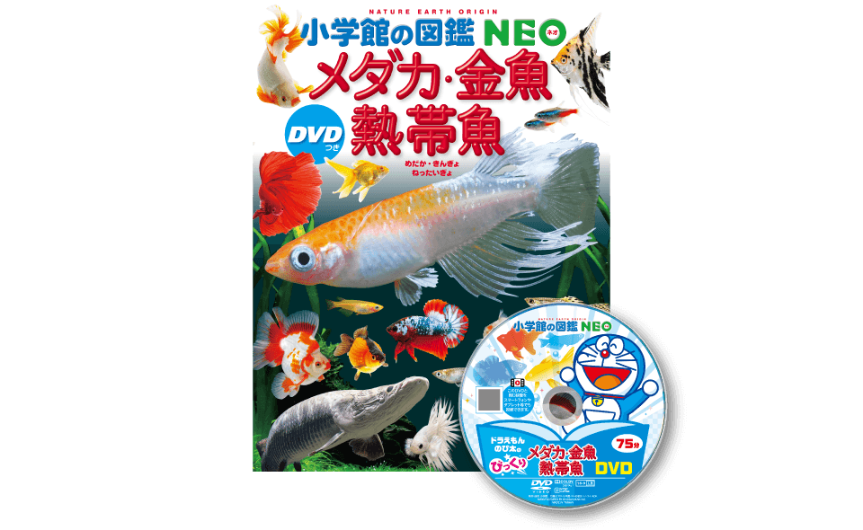 『小学館の図鑑NEO メダカ・金魚・熱帯魚』の表紙とDVDのイメージ写真