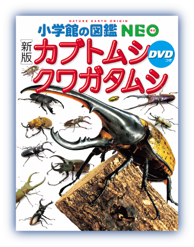 小学館の図鑑NEO ［新版］カブトムシ・クワガタムシ