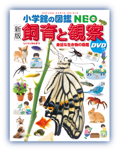 小学館の図鑑NEO ［新版］飼育と観察