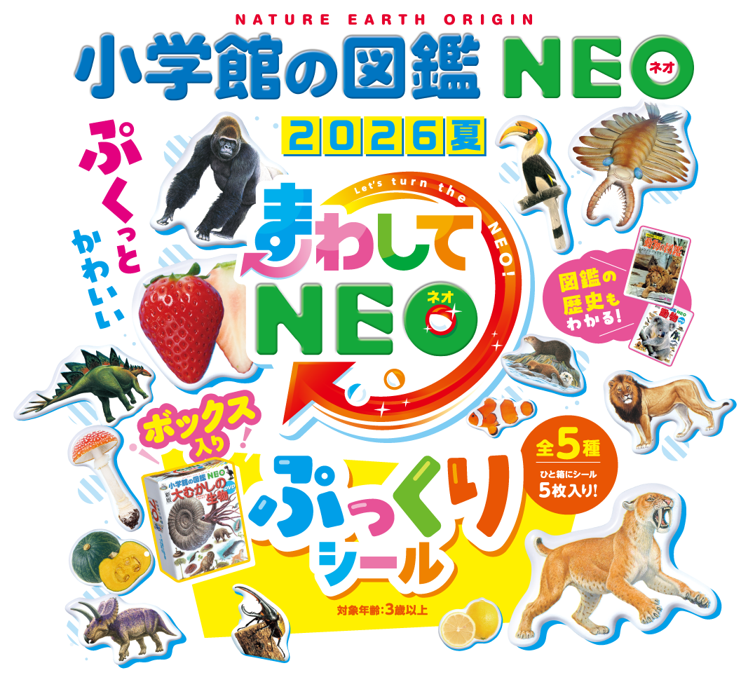 「まわしてNEO」2026夏