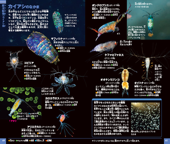 小学館　図鑑　NEO　鳥　動物　花