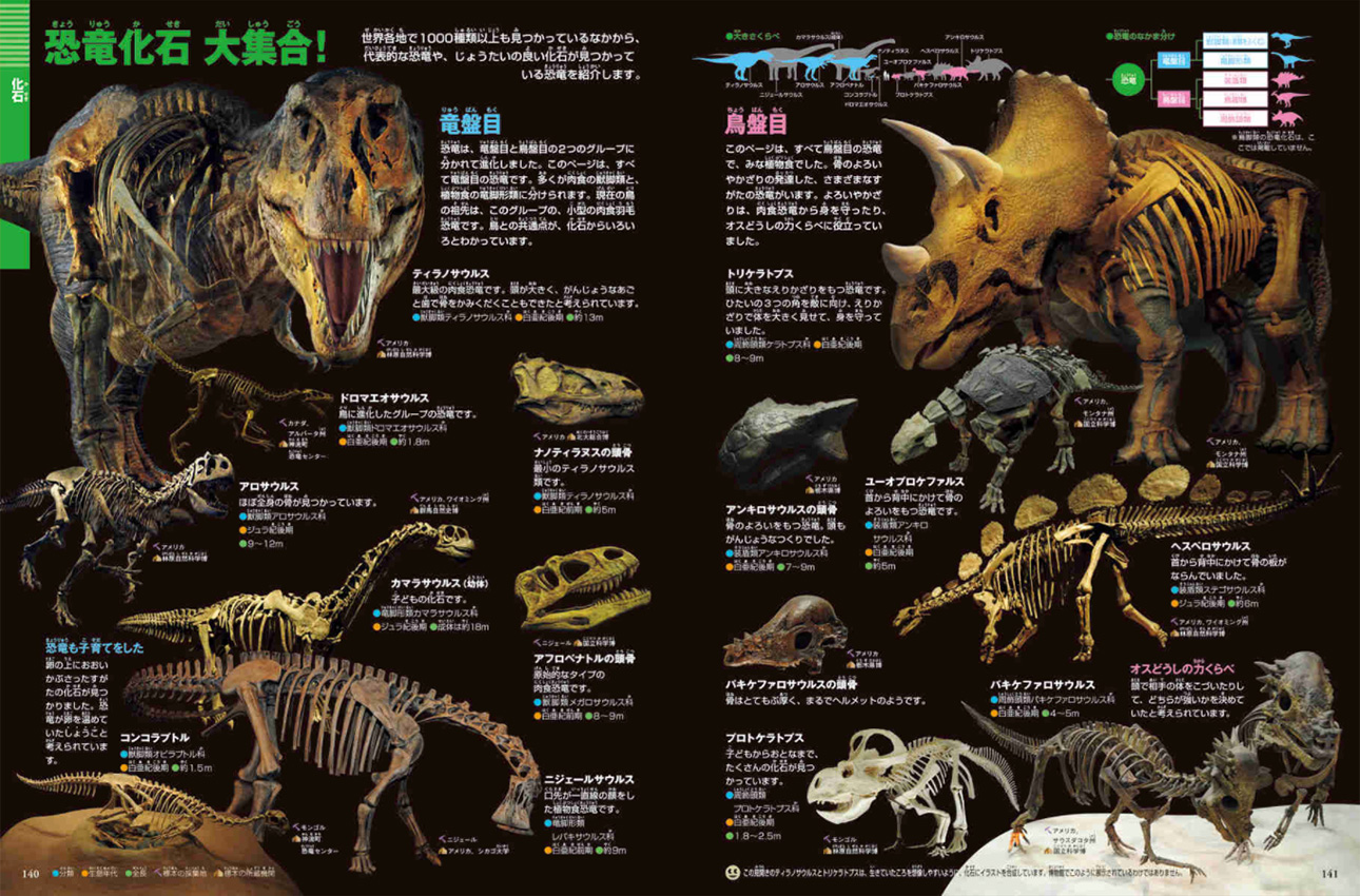 岩石 鉱物 化石 小学館の図鑑neoシリーズ 小学館