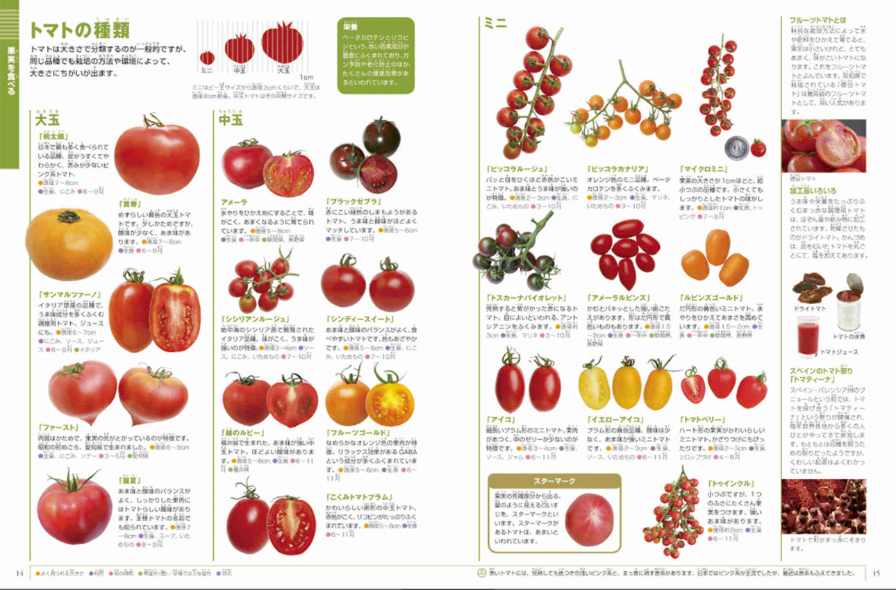 野菜と果物 小学館の図鑑neoシリーズ 小学館