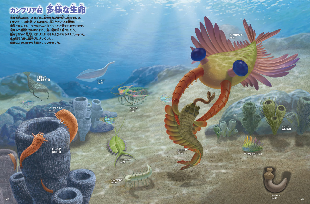 新版］大むかしの生物 DVDつき | 小学館の図鑑NEOシリーズ | 小学館