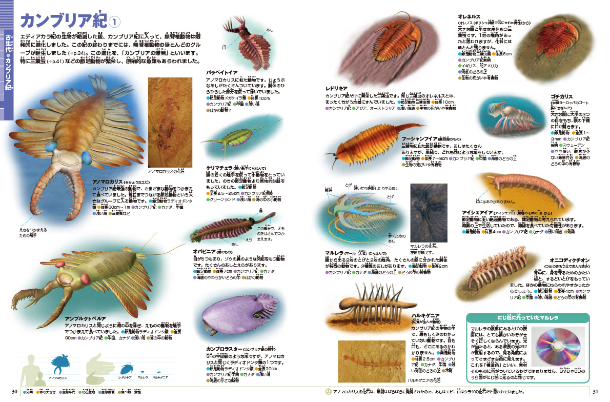 新版］大むかしの生物 DVDつき | 小学館の図鑑NEOシリーズ | 小学館