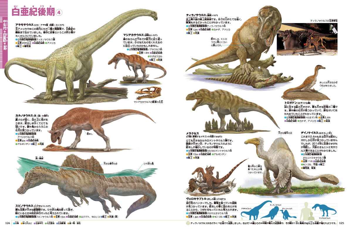 新版］大むかしの生物 DVDつき | 小学館の図鑑NEOシリーズ | 小学館