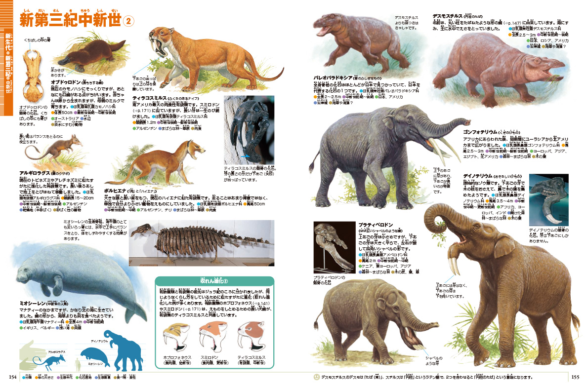 新版］大むかしの生物 DVDつき | 小学館の図鑑NEOシリーズ | 小学館
