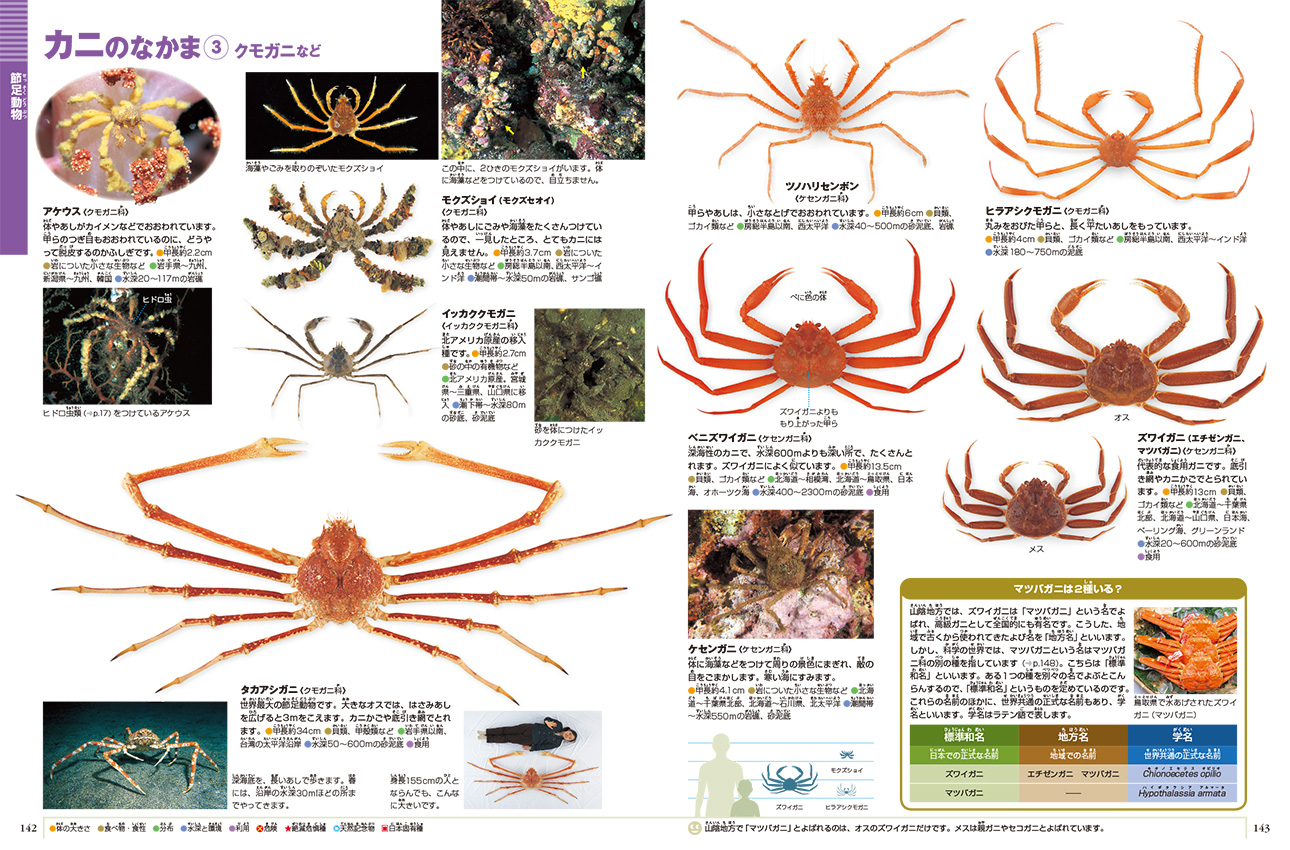 新版］水の生物 DVDつき | 小学館の図鑑NEOシリーズ | 小学館