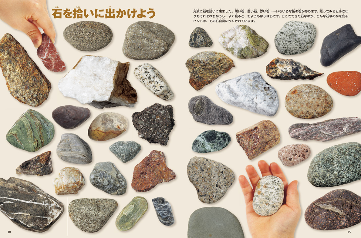 即納送料無料! 小学館の図鑑 neo 岩石 鉱物 化石 DVD