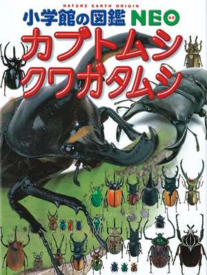 カブトムシ・クワガタムシ | 小学館の図鑑NEOシリーズ | 小学館