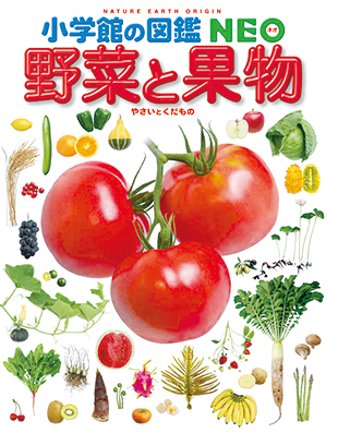 小学館の図鑑NEO 野菜と果物