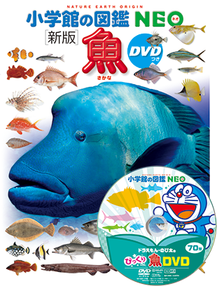 新版 魚 Dvdつき 小学館の図鑑neoシリーズ 小学館