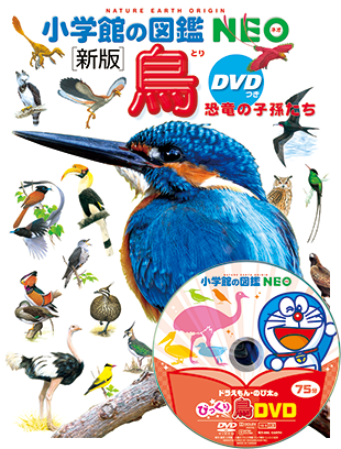 新版］鳥 DVDつき | 小学館の図鑑NEOシリーズ | 小学館
