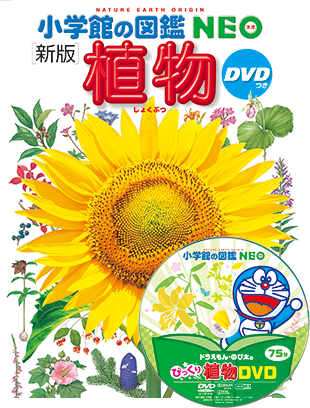 新版 植物 Dvdつき 小学館の図鑑neoシリーズ 小学館