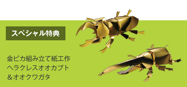 カブトムシ クワガタムシ 小学館の図鑑neoシリーズ 小学館