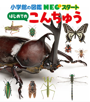 NEOスタート はじめての こんちゅう