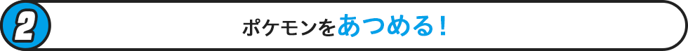 ポケモンをあつめる！