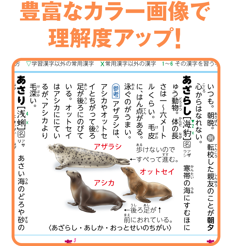 豊富なカラー画像で理解度アップ！