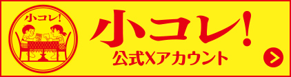 公式X
