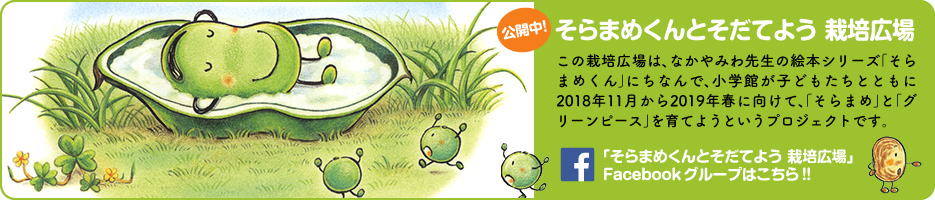 そらまめくん の絵本 小学館