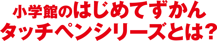 ポイント