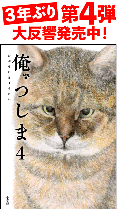 「俺、つしま 4」最新刊装丁